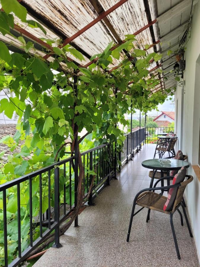Vila Didi, Mangalia Ngoại thất bức ảnh