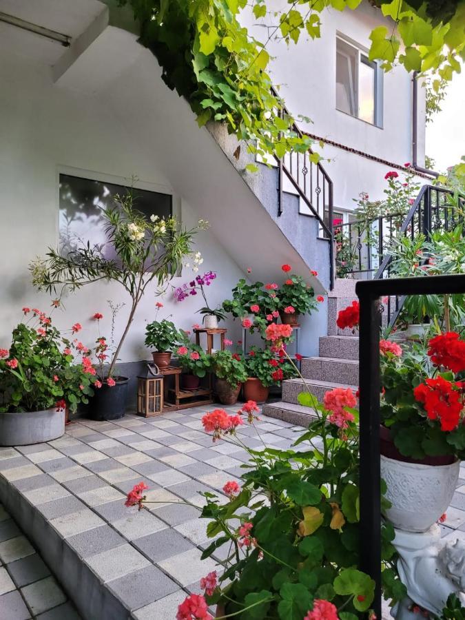 Vila Didi, Mangalia Ngoại thất bức ảnh